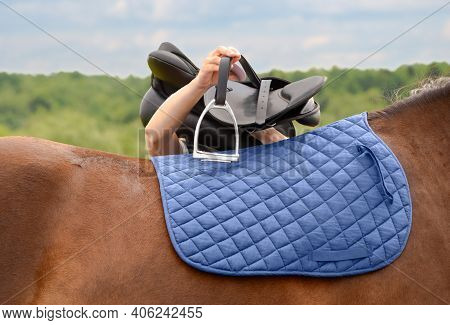 Caucasian Woman Is Holding Black Saddle Above Horse Back In Her Hands In Outdoors.