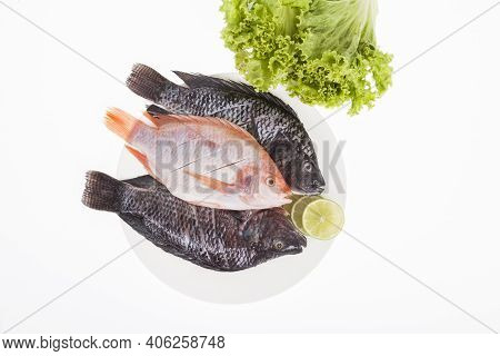 Fish, Red And Silver Mojarra On White Background.