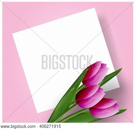 Pink Tulips On A Pink Background. Floral Template For Postcard, Invitation, Banner, Poster. Realisti