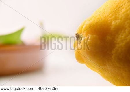 Detail Of The Pedicel Of The Lemon. Horizontal Composition. Side View