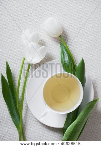Šálek čaje a květin bílý Tulipán