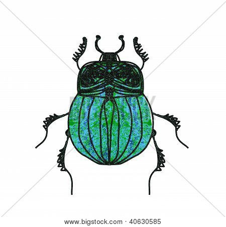 Kuoriainen Beetle vektori