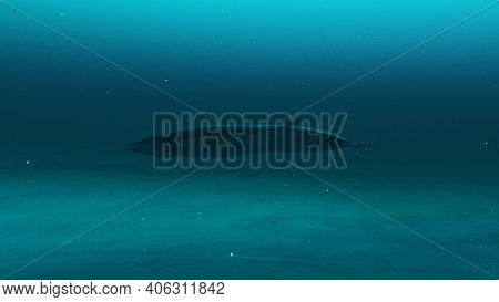Closeup Up Of Rorqual Whale Swimming In The Deep Blue Ocean Water, Underwater Scene Of Rorqual Whale
