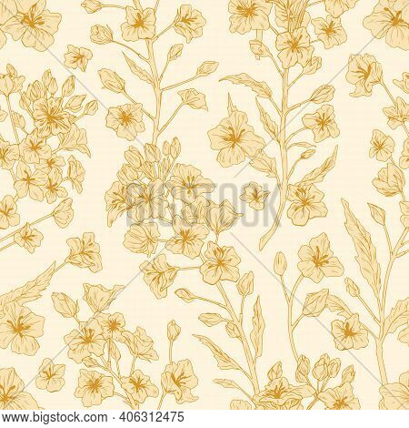 Elegant Seamless Pattern Of Rapeseed Plant Or Canola Flowers. Endless Repeatable Floral Texture In R