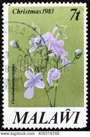 Malawi - Circa 1983: A Stamp Printed In Malawi Shows Butterfly Bush, Clerodendrum Myricoides, Is A S
