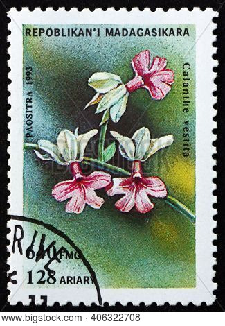 Malagasy - Circa 1993: A Stamp Printed In Malagasy, Madagascar Shows Calanthe Vestita, Orchid, Circa
