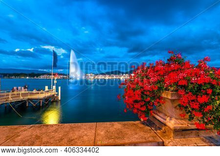 Close Up Of Flowering Geraniums Of The Paquis With Night View Of Jet Deau Fountain, The Most Famous 