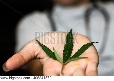 Scientist Or Doctor In White Lab Coat Holding Marijuana Leaf On Palm. Person Showing Cannabis Leaf O