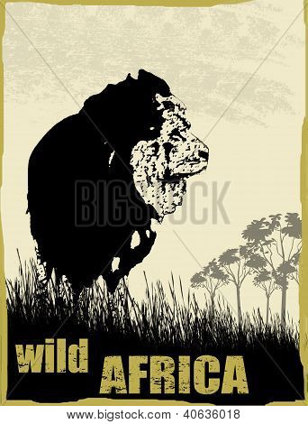 Wildes Afrika-Bild mit LÃ¶wen