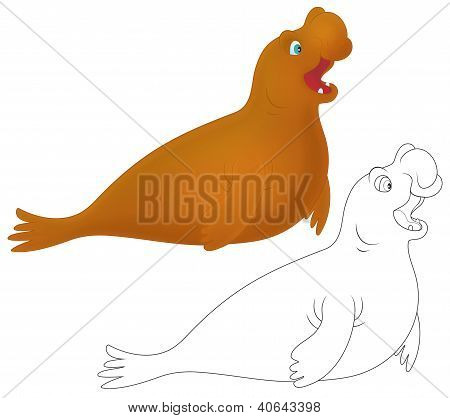 Havet elefant
