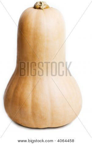 Dyni Butternut
