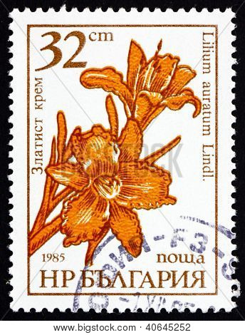 BULGARIA - CIRCA 1986: a stamp printed in the Bulgaria shows Goldband Lily, Lilium Auratum, Flower, circa 1986