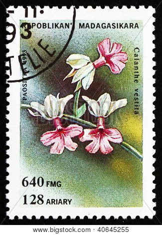 Postage stamp Malagasy 1993 Calanthe Vestita, Orchid