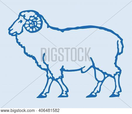 Sketch Of Indian Big Horn Sheep Or Goat Outline Editable Illustration