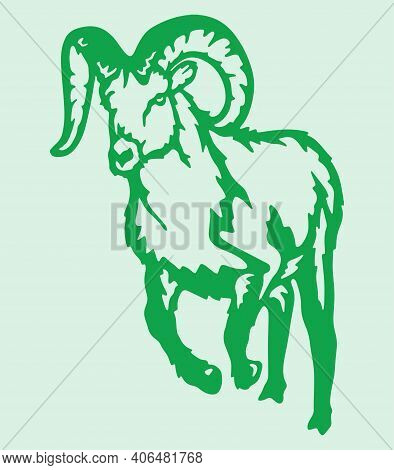 Sketch Of Indian Big Horn Sheep Or Goat Outline Editable Illustration