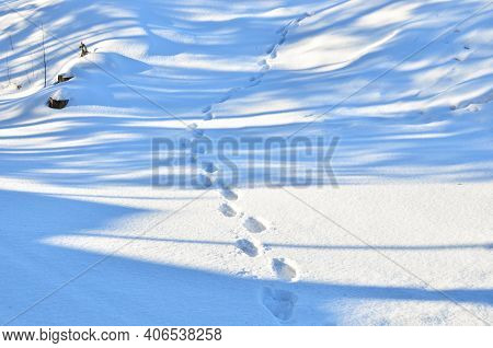 Footprints On White Snow In A Forest. Snowy And Impassable Road With Deep Snow In Winter. Snowdrift,