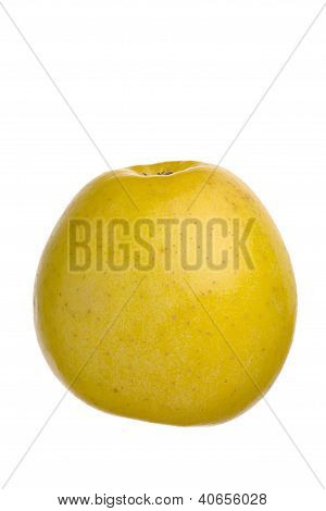 Apple Fruit