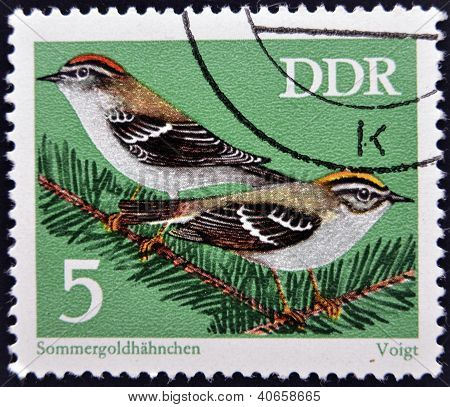 Briefmarke gedruckt in Deutschland gewidmet Vögel zeigt Sommergoldhähnchen (Regulus Ignicapillus)