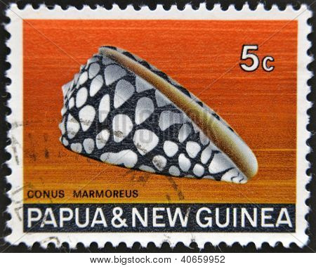 PAPUA NEW GUINEA - CIRCA 1969: Een stempel gedrukt in Papua New Guinea toont shell Conus Marmoreus circa