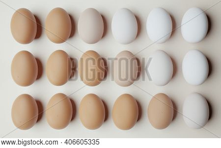 Chicken Eggs Aligned And Ordered From Darkest To Lightest On A Light Background. 3d Render