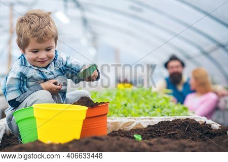 Smiling Child Soil And Filling Pots With Ground. Baby Playing With Spade In Greenhouse While Parent