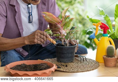 A Senior Asian Man Working In A Planting Hobby Room With Happiness And Concentrait. Idea For Green L