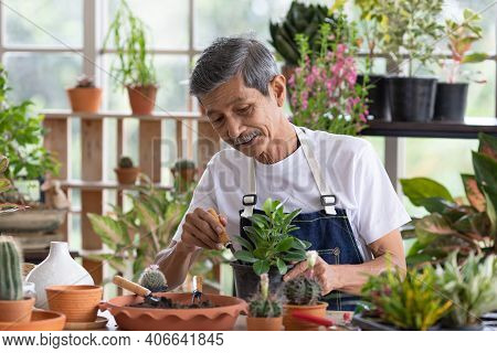 A Senior Asian Man Working In A Planting Hobby Room With Happiness And Concentrait. Idea For Green L