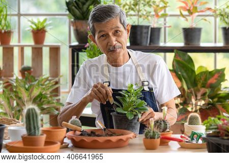 A Senior Asian Man Working In A Planting Hobby Room With Happiness And Concentrait. Idea For Green L