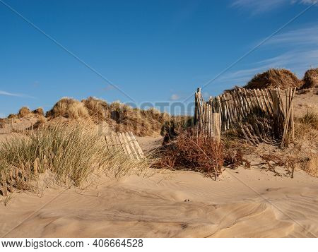 Sand Dunes And Paling Fence To Prevent Erosion At Camber Sands, Sussex, Uk