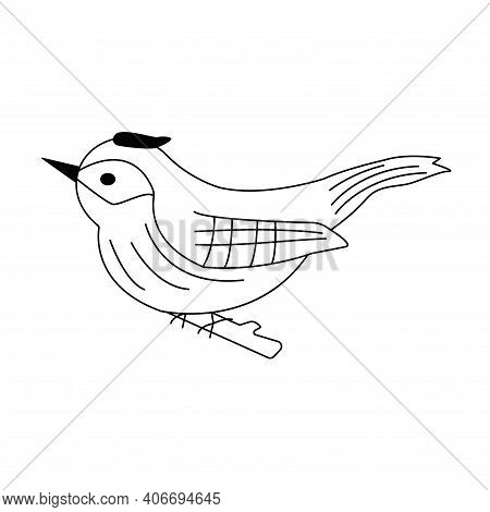 Cute Bird Is Sitting On A Branch. Black And White Vector Isolated Illustration In Doodle Style