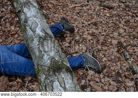 Dead Man Covered With A Tree. The Tree Turned Upside Down And Injured Itself, Falling While Walking 