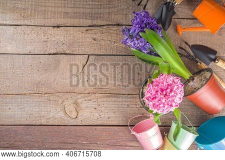 Spring Gardening Concept