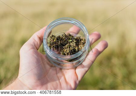 Dried Cannabis Inflorescences In Hand On A Background Of Green Grass. The Use Of Marijuana In Medici