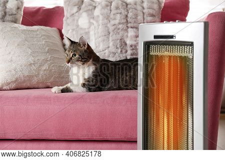 Cute Cat On Sofa Near Modern Electric Ultrared Heater Indoors