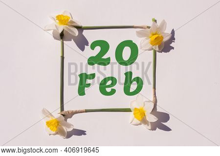 February 20th. Day 20 Of Month, Calendar Date. Frame From Flowers Of A Narcissus On A Light Backgrou