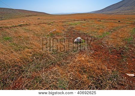 Infinity Field