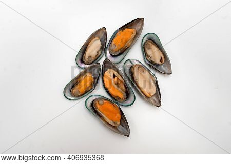 Mussels On The Flaps. White Background. Close Up.