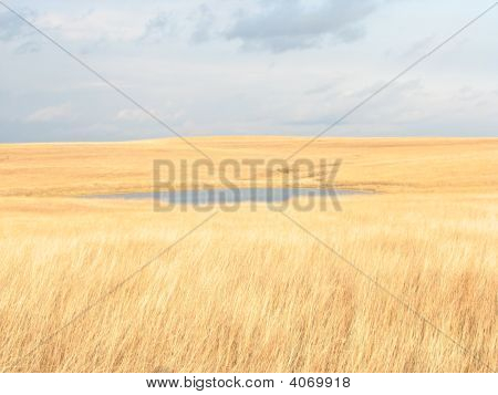 Prairie High Plains
