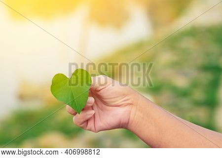 Hand Of Woman Holding Carefully Heart Shape Leaf. Green Leaf In Female Hands.conservation And Awaren