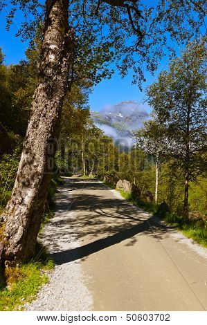 Road To Briksdal Glacier - Norway