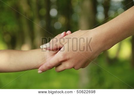 Parent Holds The Hand Of A Small Child
