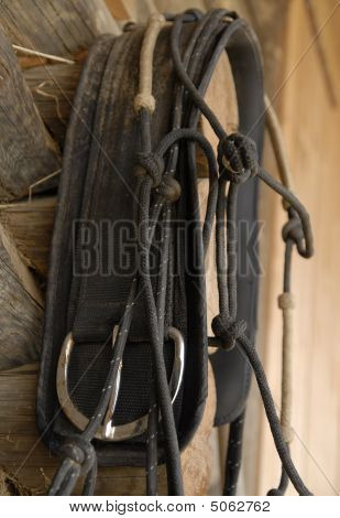 Detail Toggery