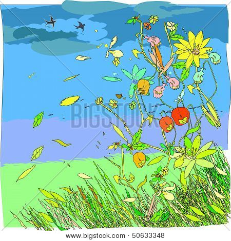 Flowers and Wind