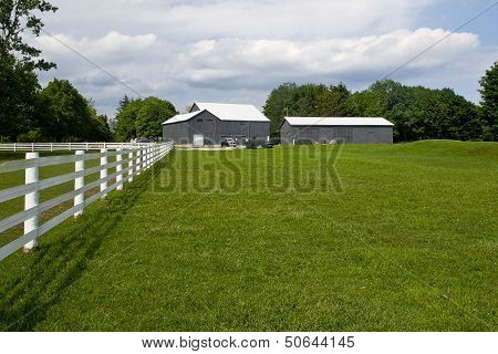 Farm 0429