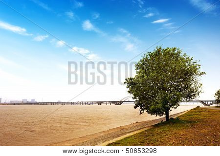 Bridge