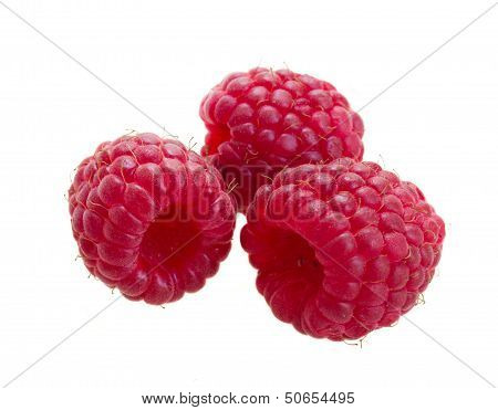three fresh raspberry