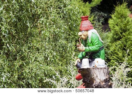 Sprite On Willow