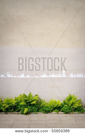 Aged Street Wall