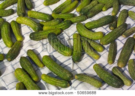 cucumbers