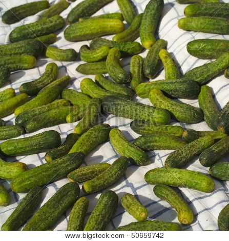 cucumbers